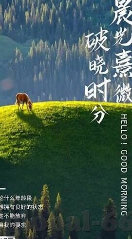 太阳报足球比分比分直播-太阳报足球比分直播，球迷的实时战场，激情与数据的交响曲