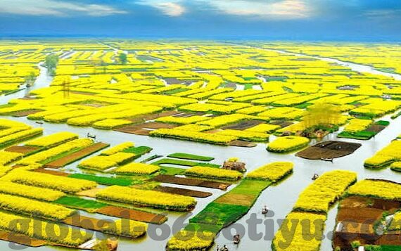 足球比分球90-深度解析，足球比分90背后的战术博弈与心理战